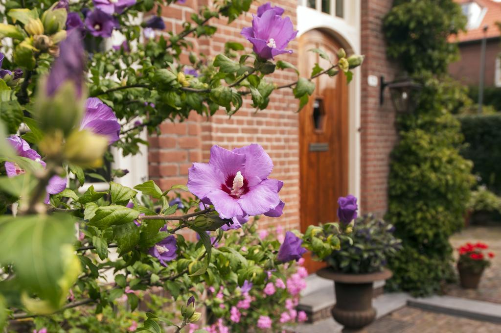 B&B De Schiedamse Suites Extérieur photo